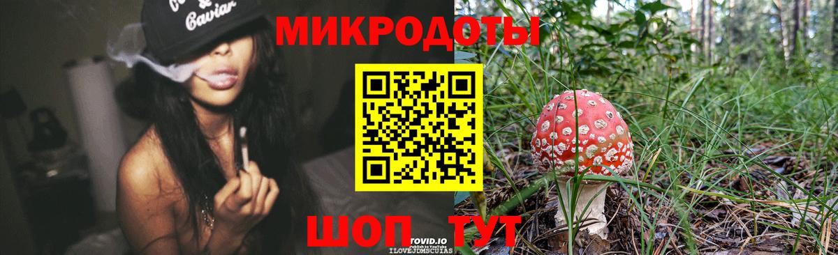 Энгельс  Псилоцибиновые грибы MAGIC MUSHROOMS  Вход с VPN  Псилоцибиновые грибы Magic Shrooms 