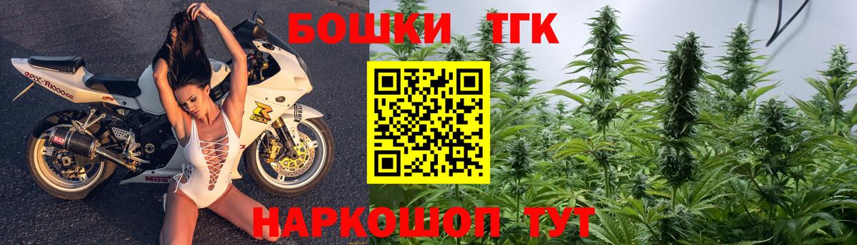 Бошки Шишки планчик Энгельс